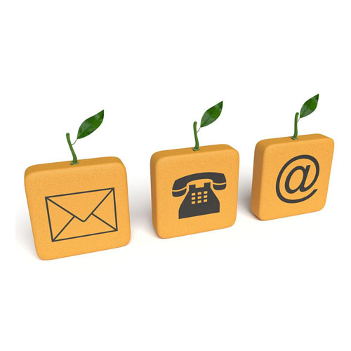 Связаться с нами