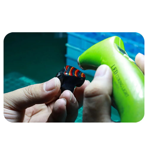 Производство